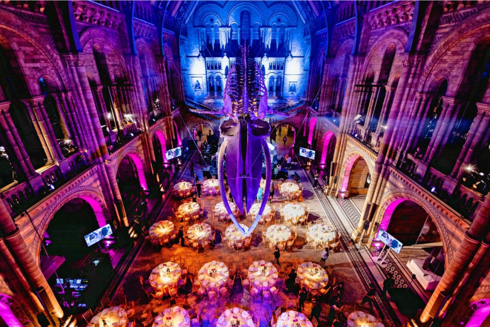 Luxury Events at the Natural History Museum: How RWS Creates Unforgettable Experiences
